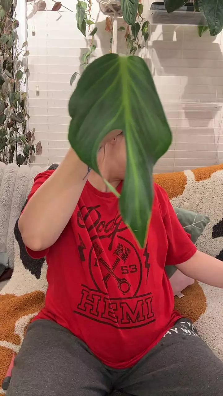 BMF rooted 1 thumbnail