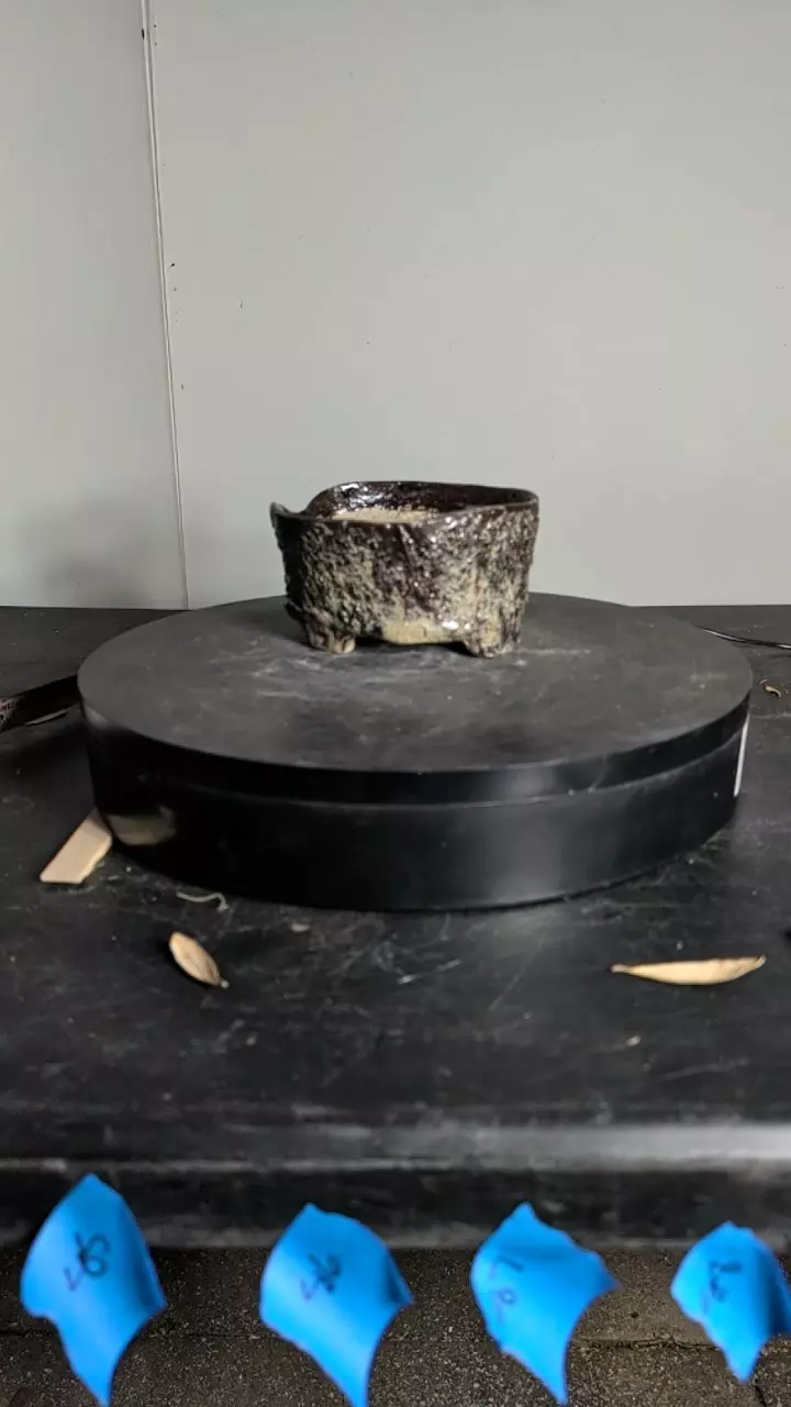 82 6.5" pot thumbnail