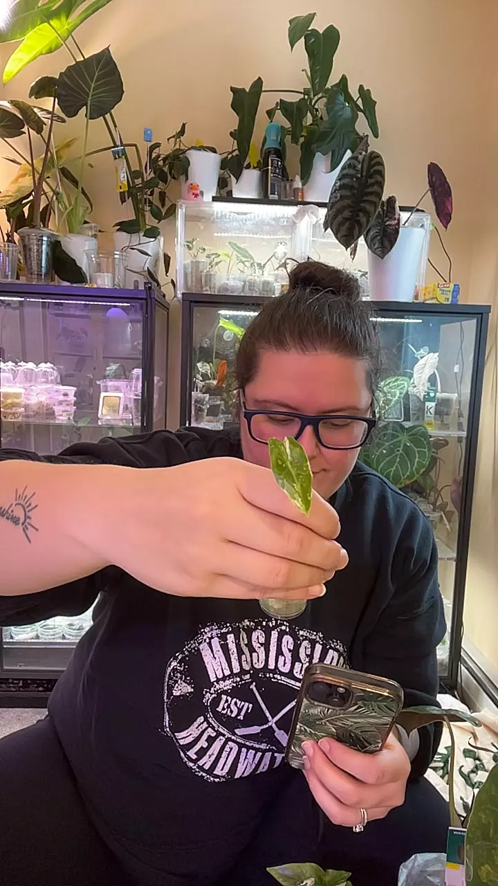 sarian albo pup thumbnail