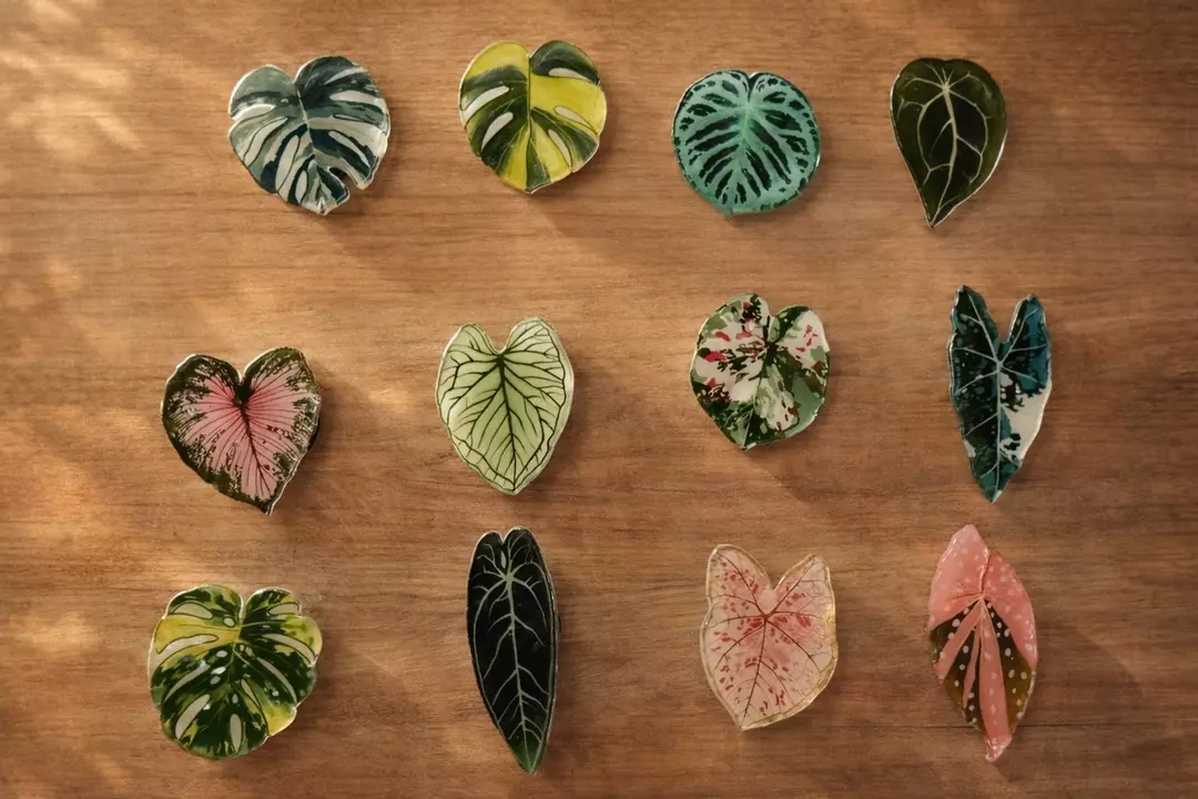 Random Plant Magnet thumbnail