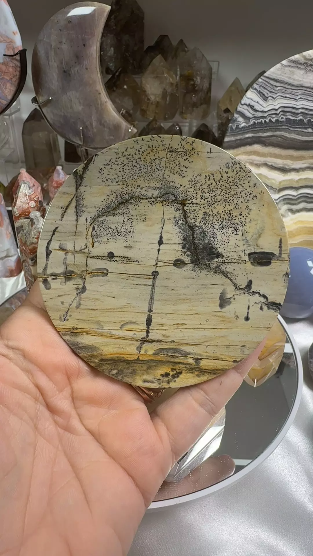 e2.22 picture Jasper thumbnail