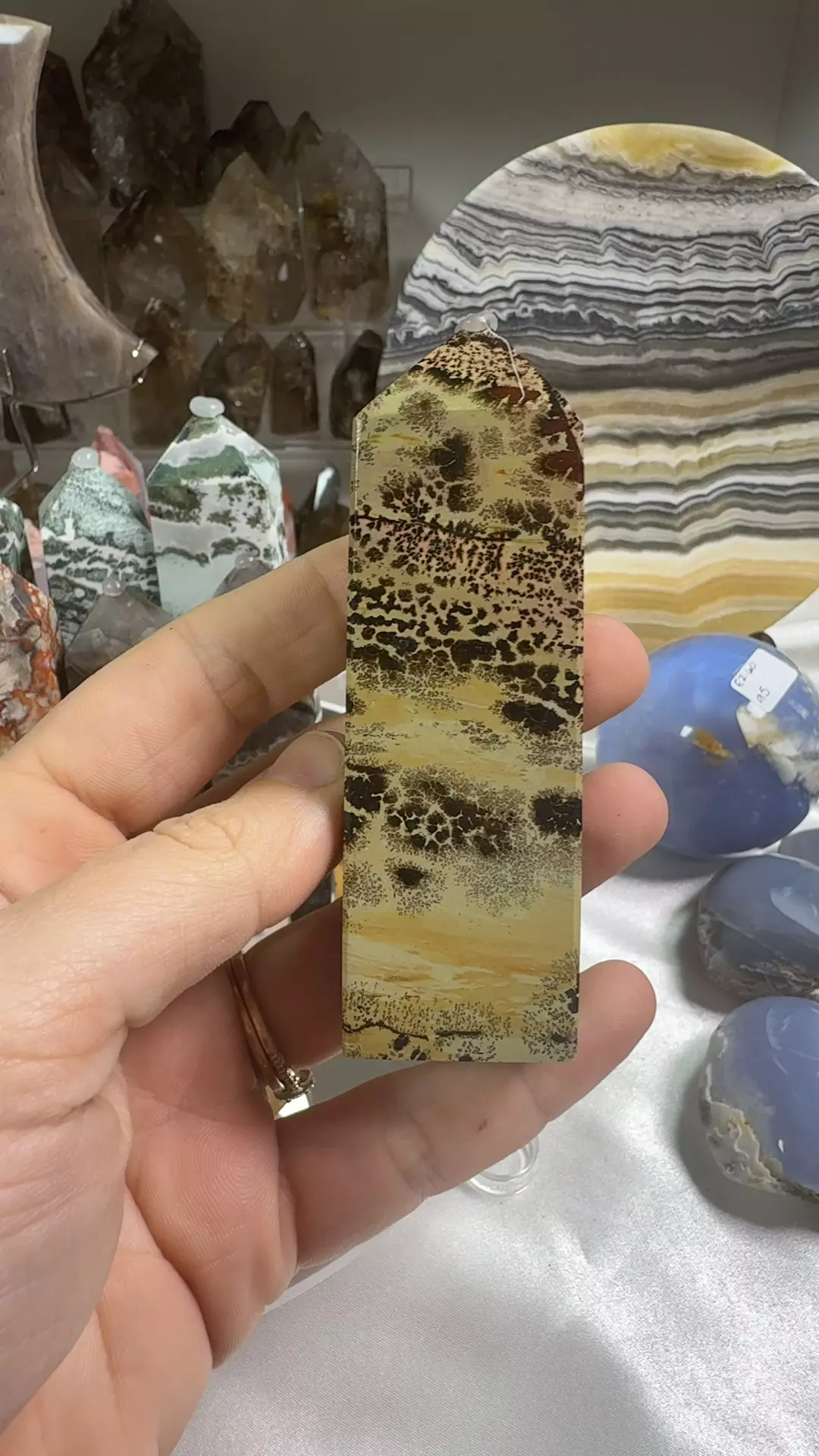 e2.18 picture Jasper thumbnail