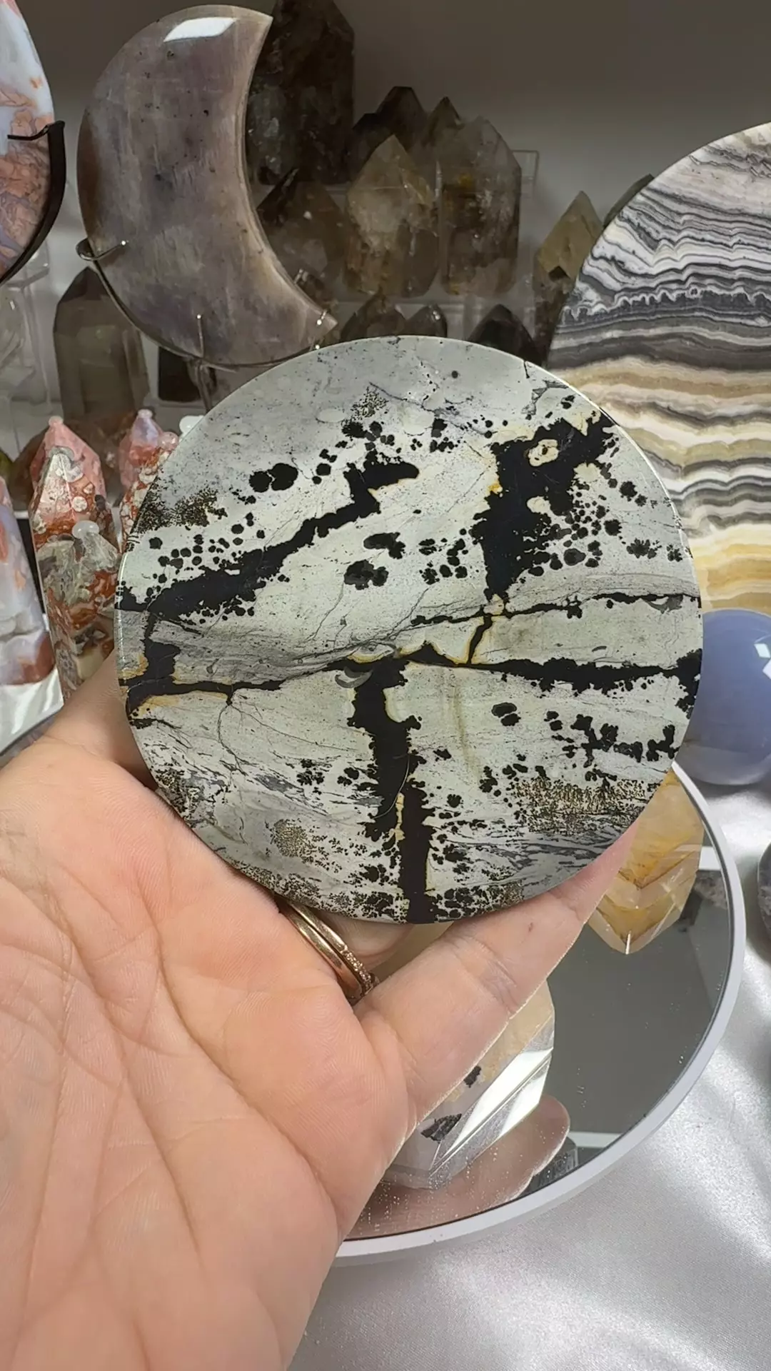 e2.21 picture Jasper thumbnail