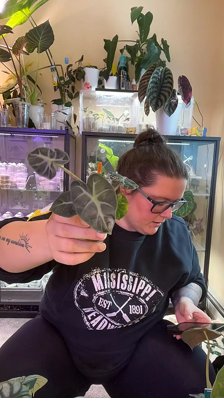 reverting pink heart balloon thumbnail