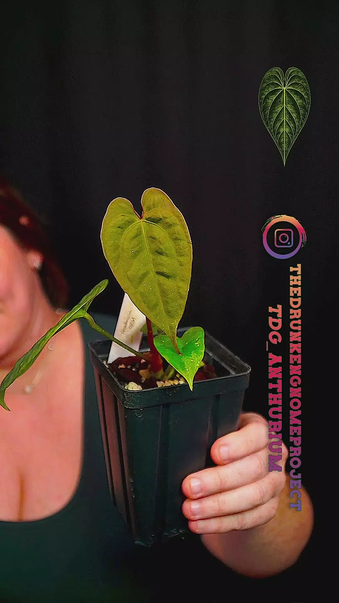 Barry NoID 10 thumbnail