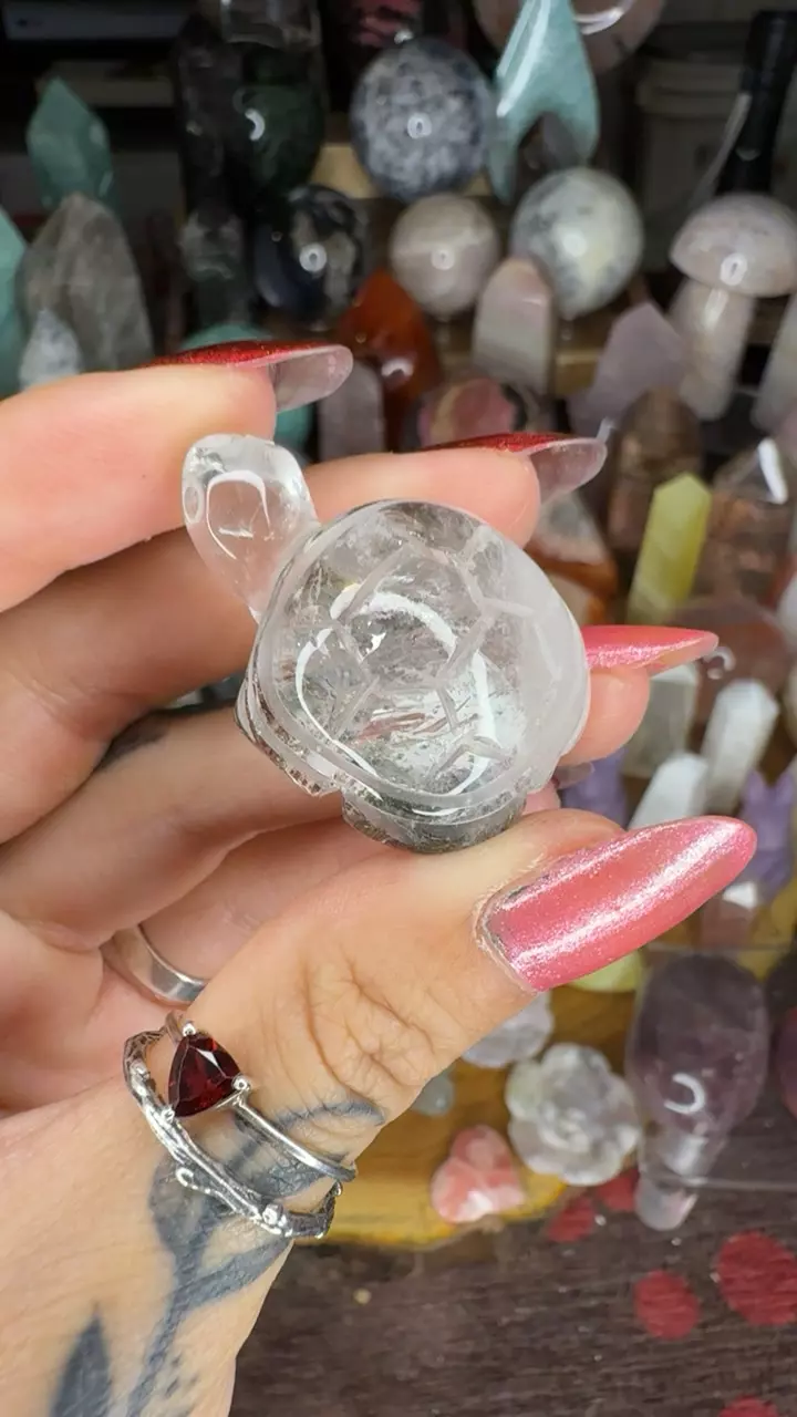 Mini garden turtle 26c thumbnail