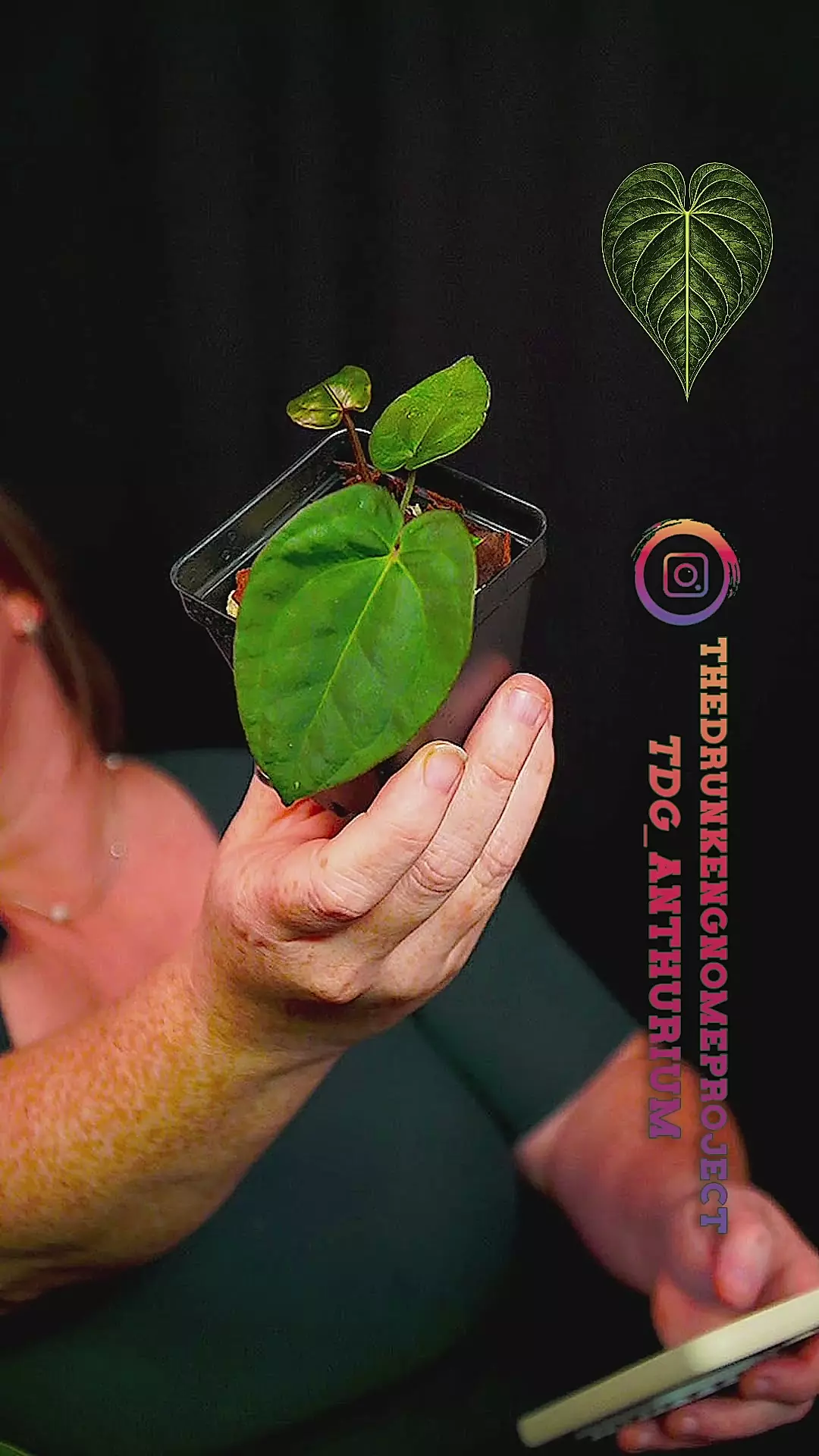 Michelle x (NSE Port x NSE Dress) thumbnail