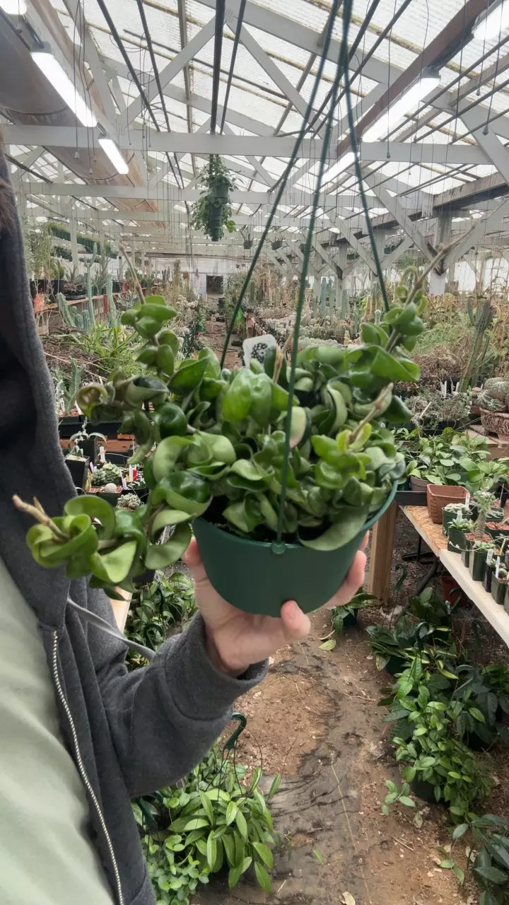 H865 compacta thumbnail