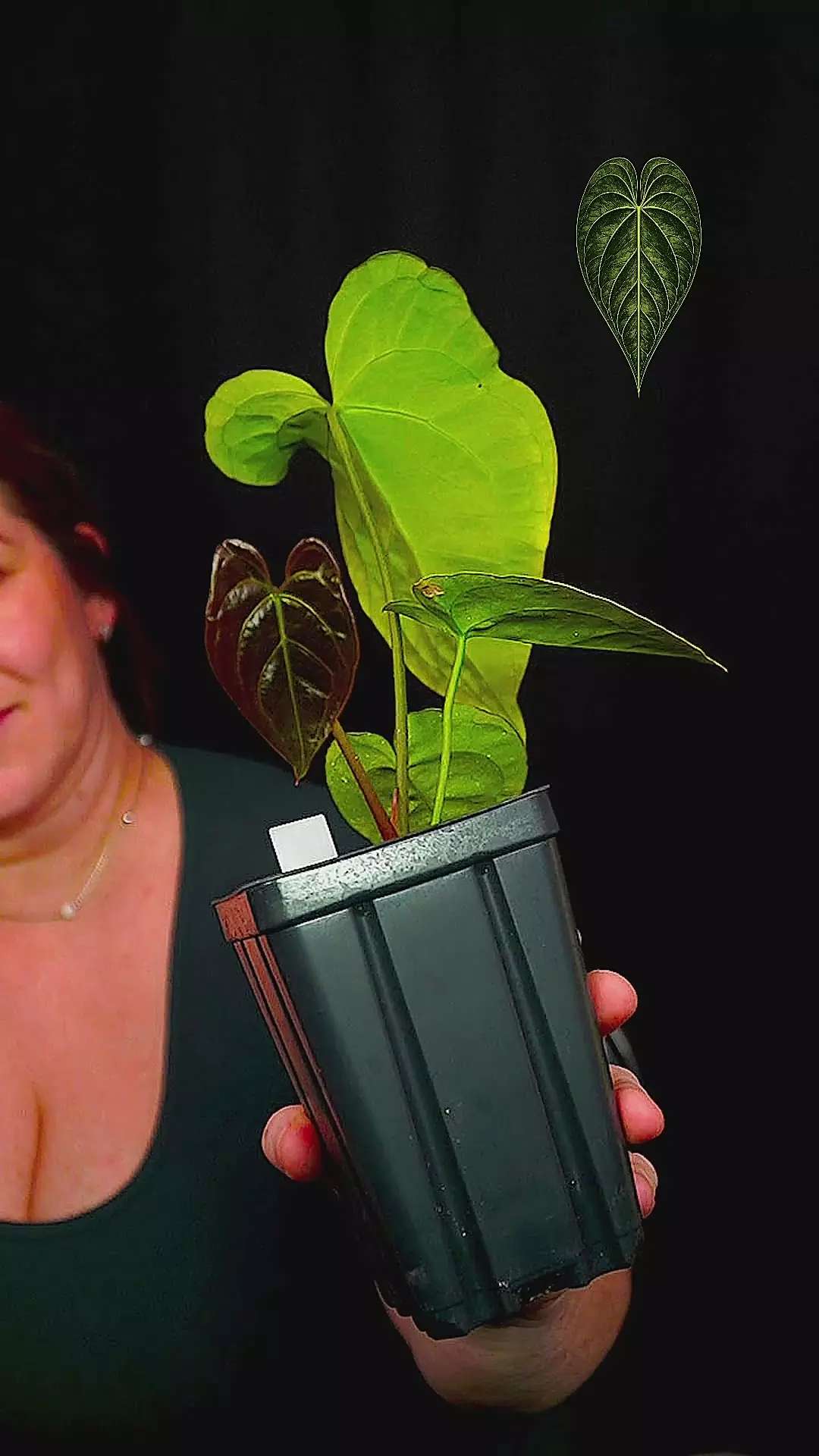 Barry NoID 4 thumbnail