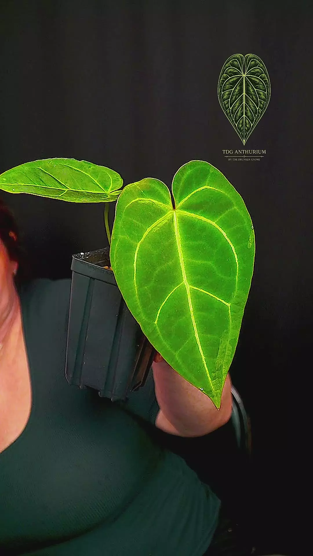 Barry NoID 5 thumbnail