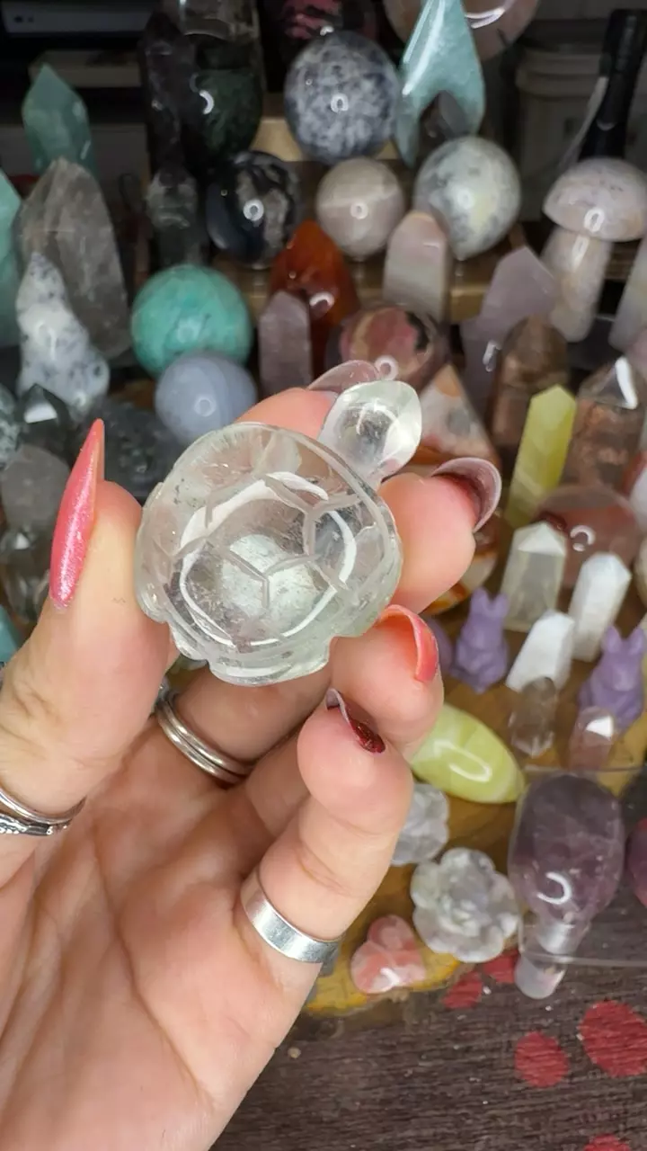 Mini garden turtle 26a thumbnail