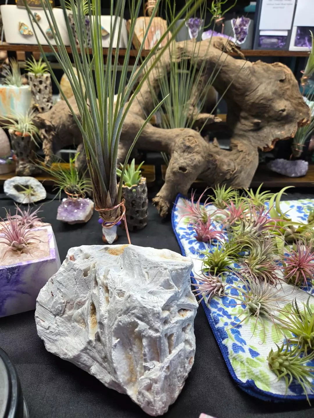 Agate with Large Air Plant thumbnail