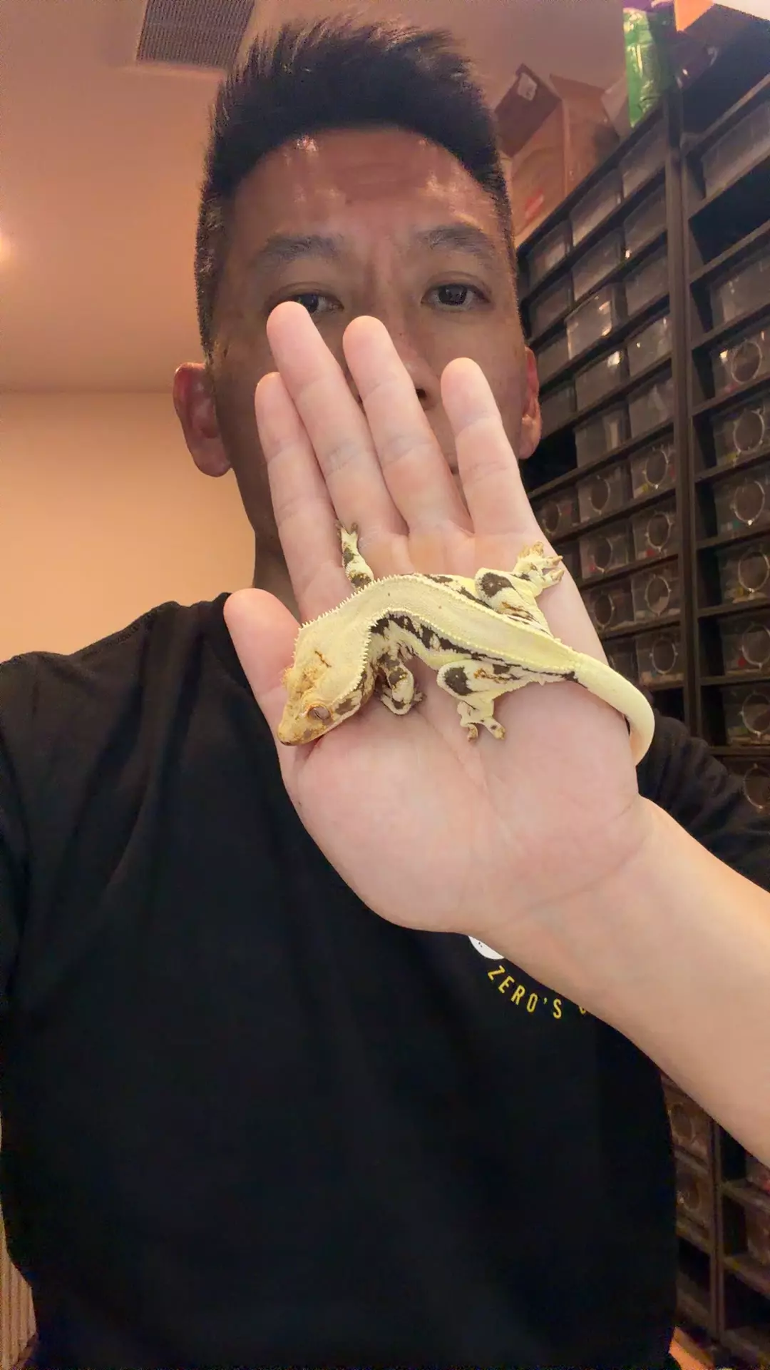 21g female Lilly Mylk x Lw group thumbnail