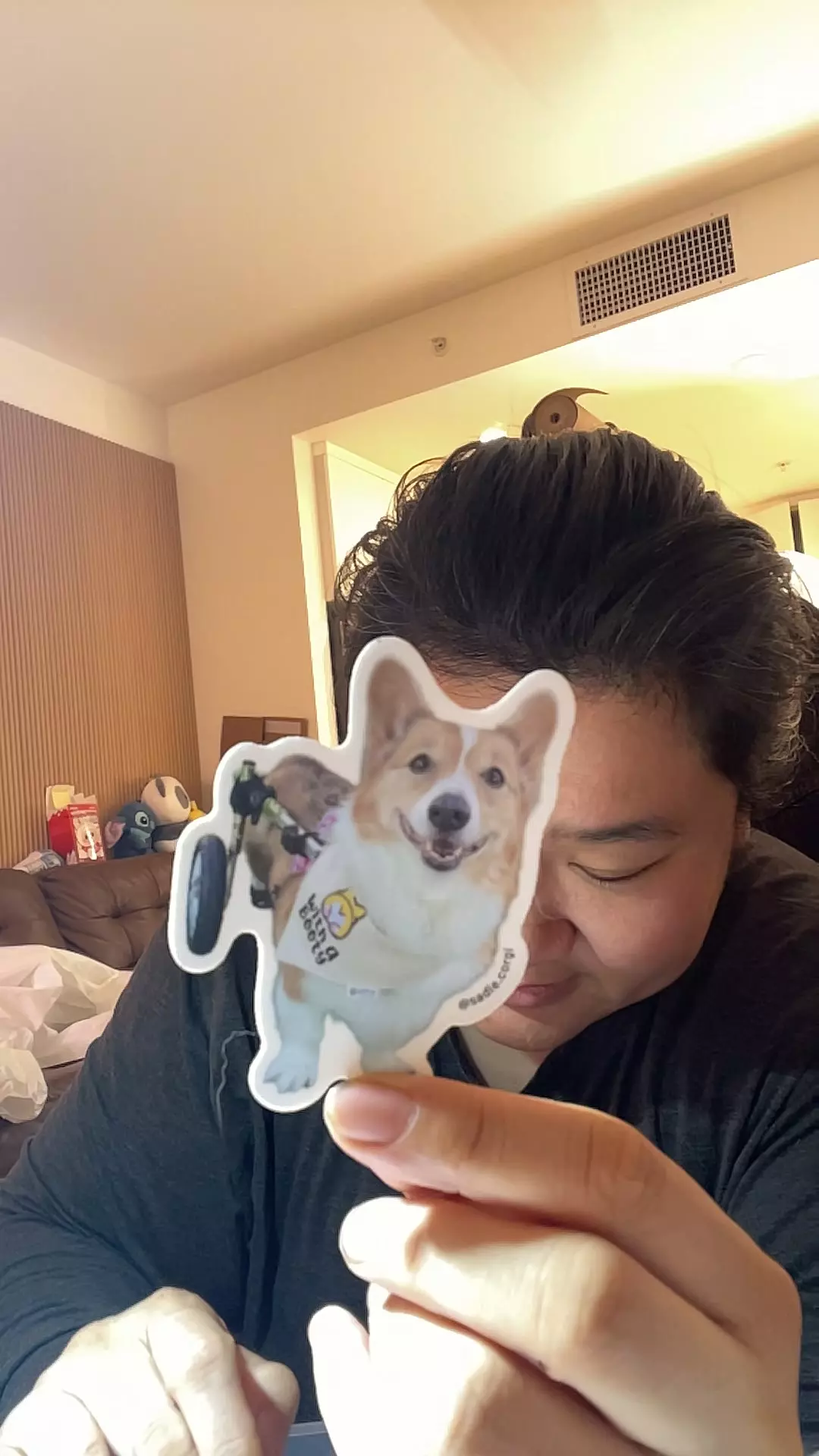 Sadie PT FUNDS STICKERS thumbnail