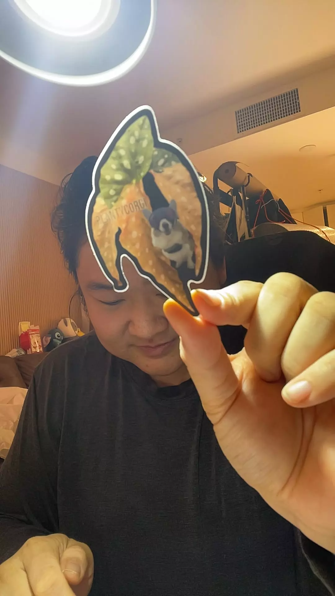 pink maculata sticker with Sadie goggles thumbnail