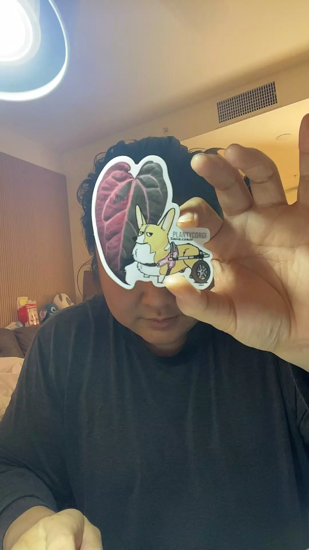 Sr. parrot 🦜 with Sadie wheels thumbnail