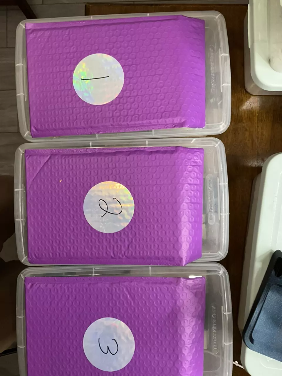 Mystery Gecko Box 1 of 3 thumbnail