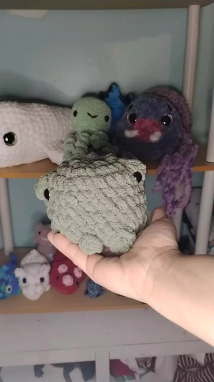 chonky frog thumbnail