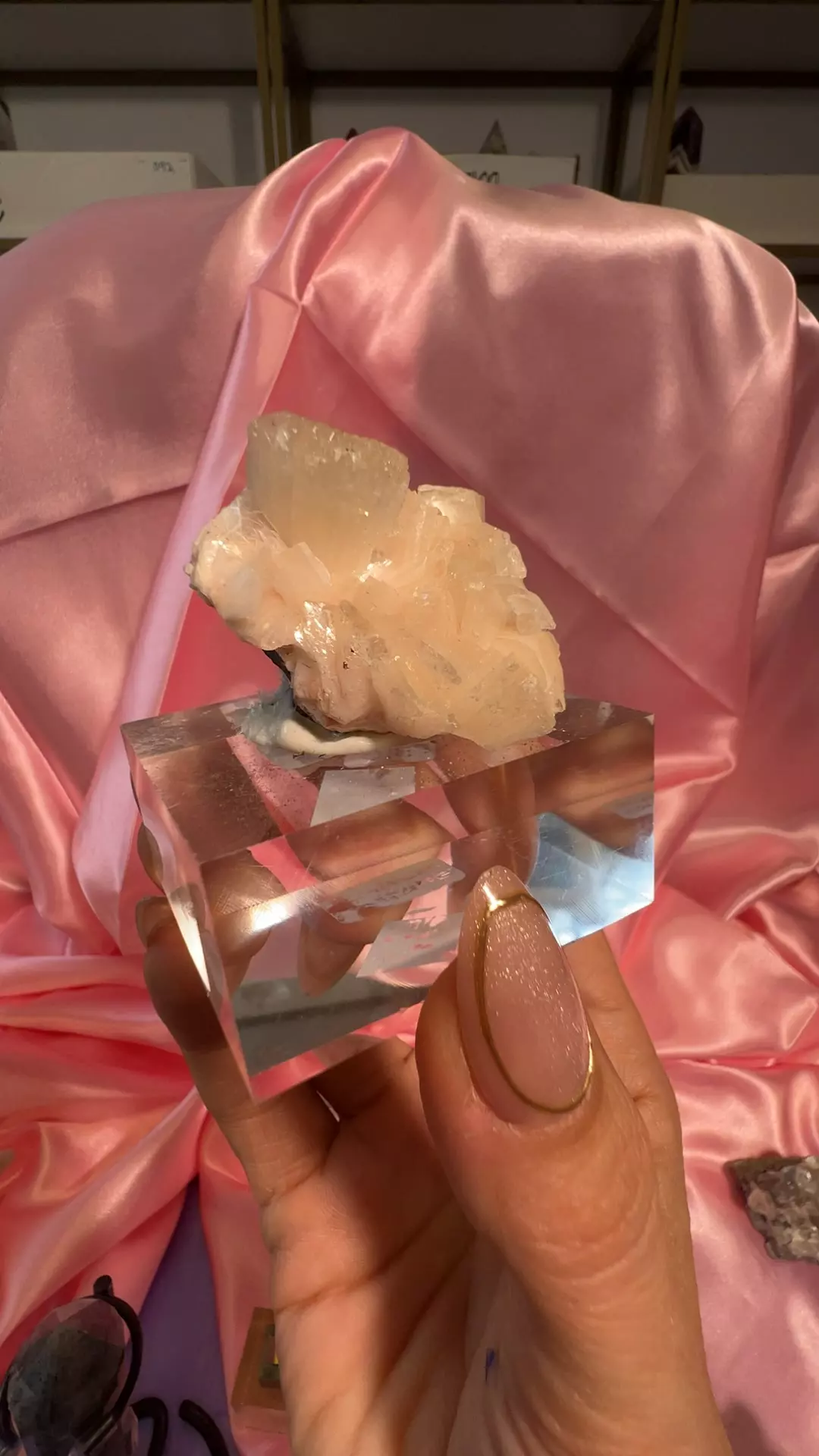 Peach still bite PB 16 thumbnail