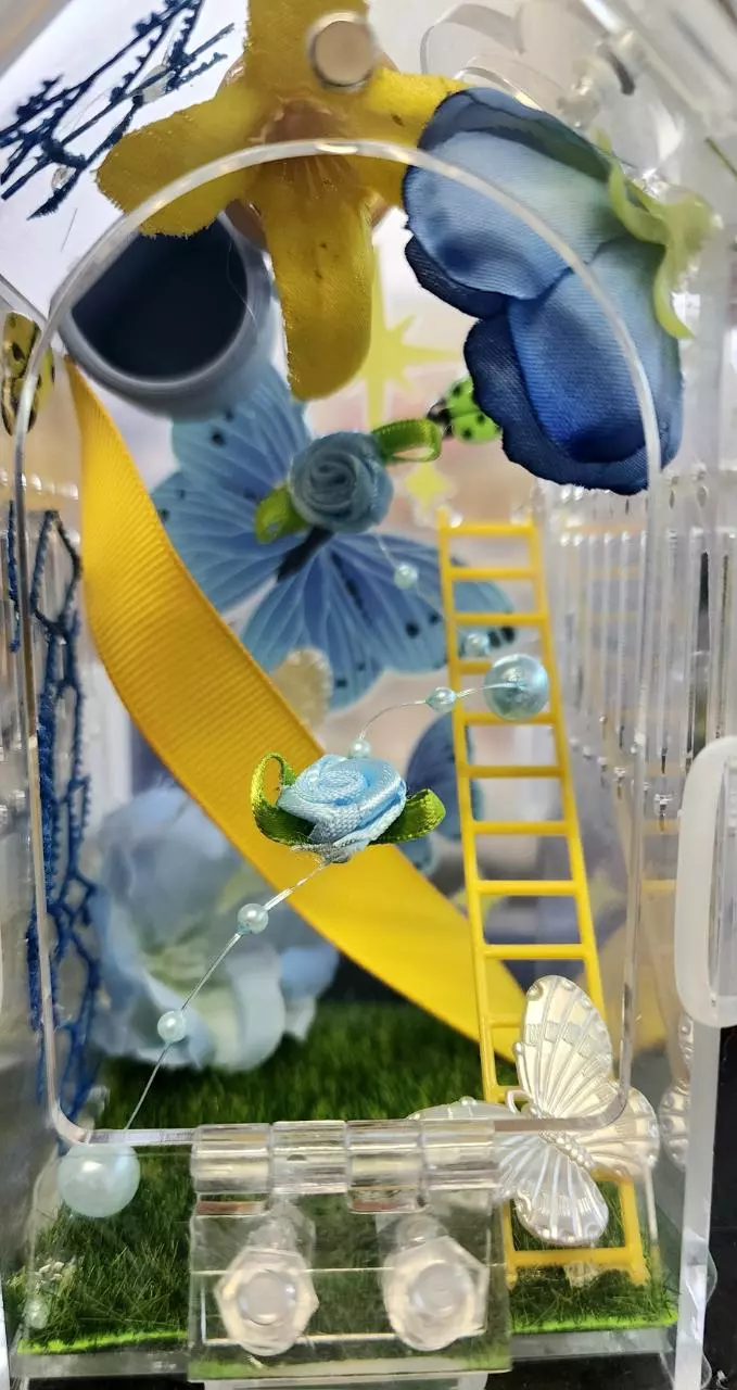 The Butterfly House thumbnail