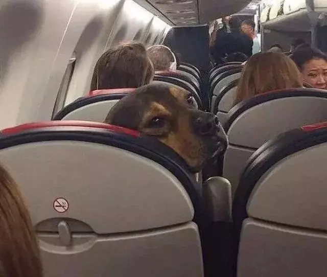 Vacation 1 Week Hold thumbnail