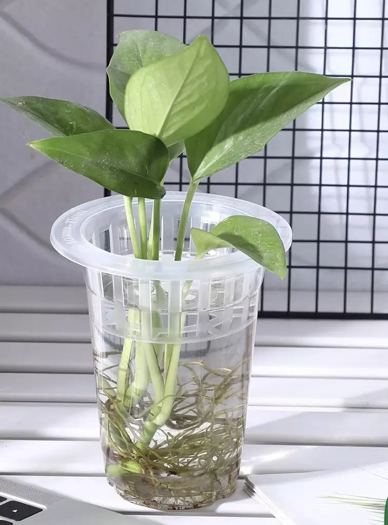 Large Prop Cups thumbnail