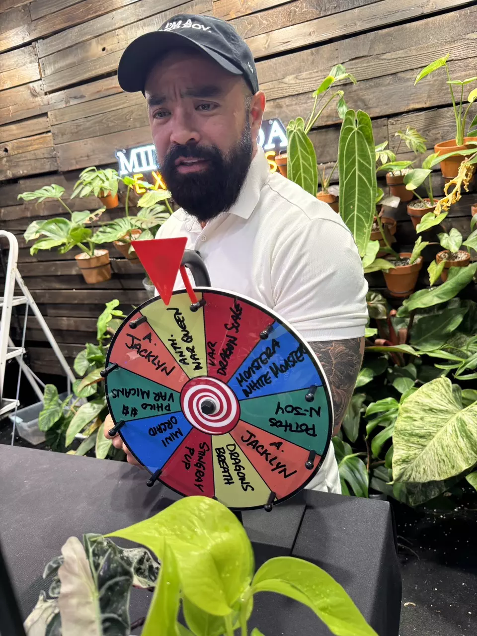 GIVVY SHIPPING thumbnail