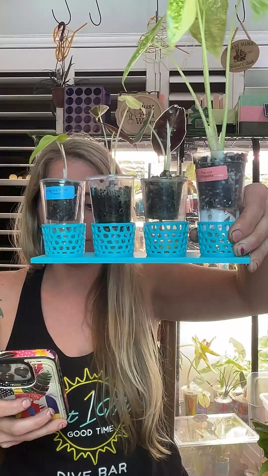 plant/corm caddy- message about colors-0