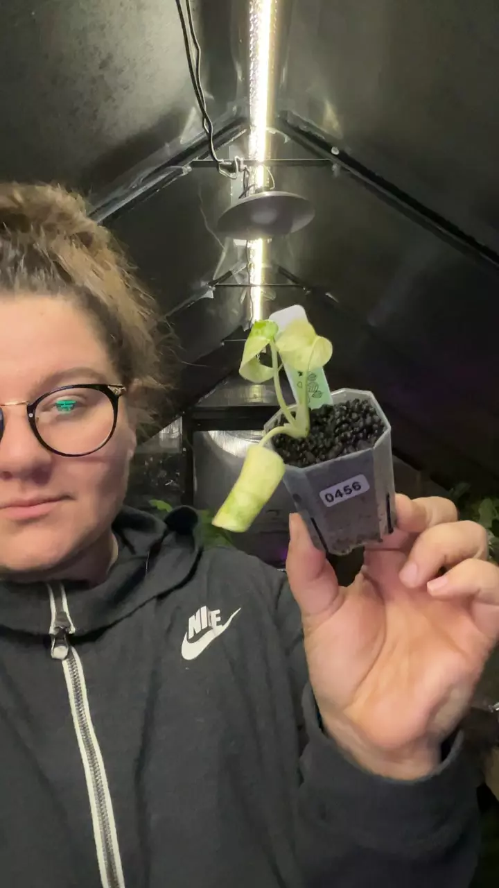 thia con 0456 thumbnail