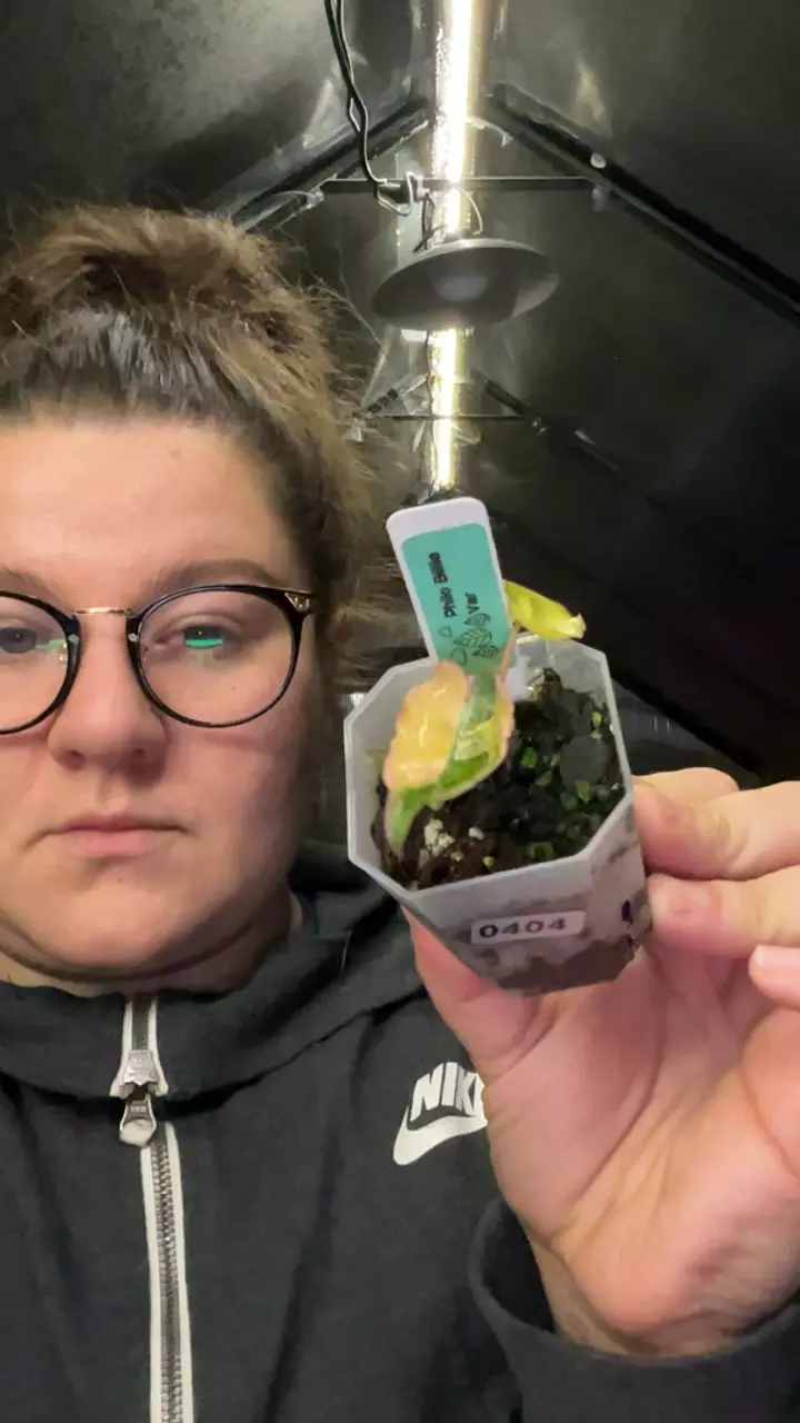 var Billie. 0404 thumbnail