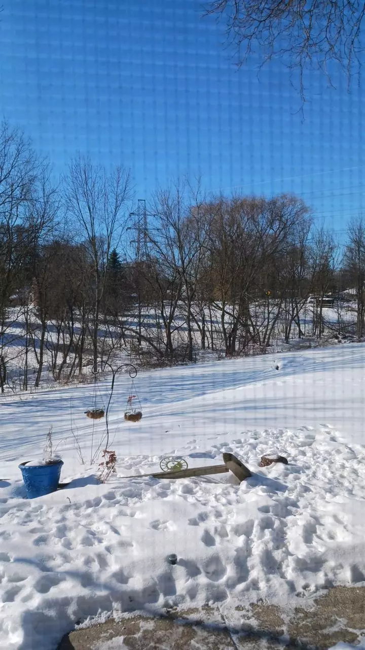 additional Mylar foil thumbnail