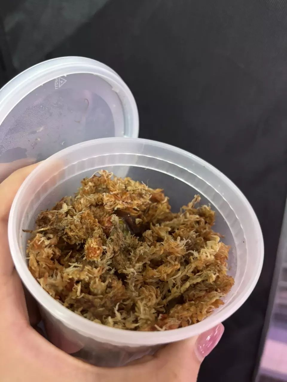 astraroth (pap x dress X Bess) CUTTING thumbnail