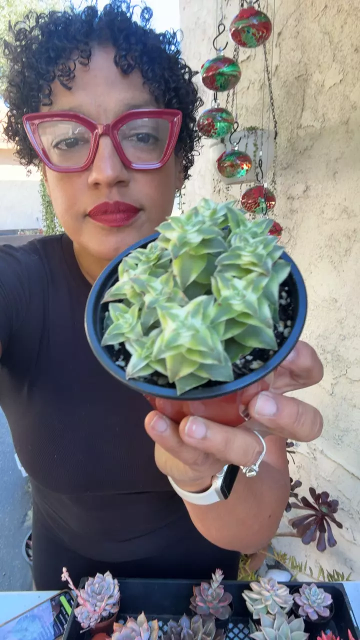 V string of buttons thumbnail