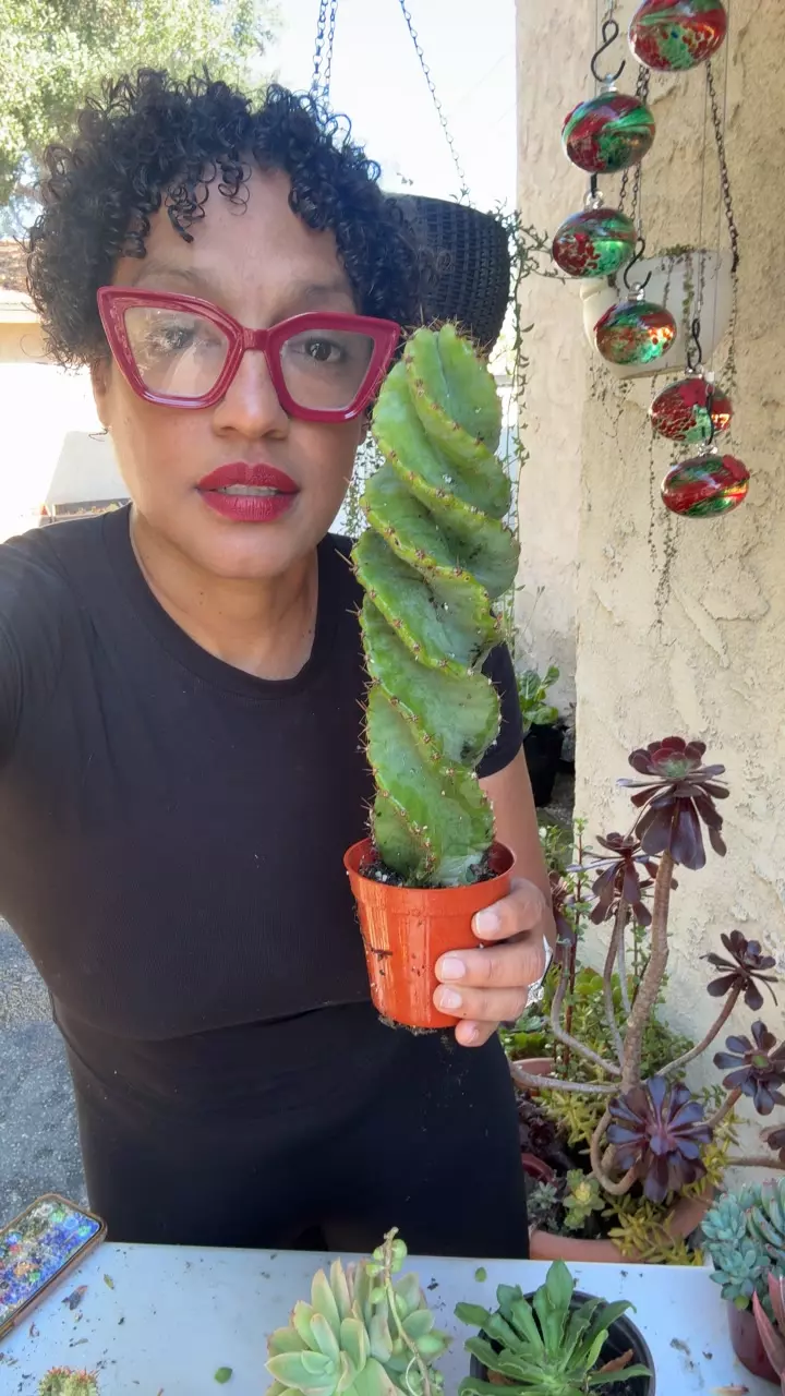 spiral cactus thumbnail