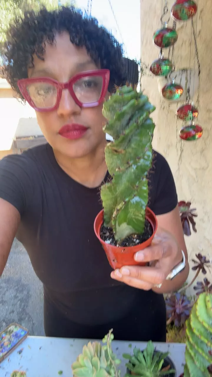 small spiral thumbnail