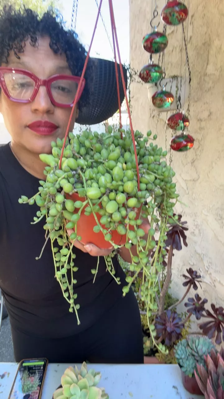 6 in string of watermelon thumbnail