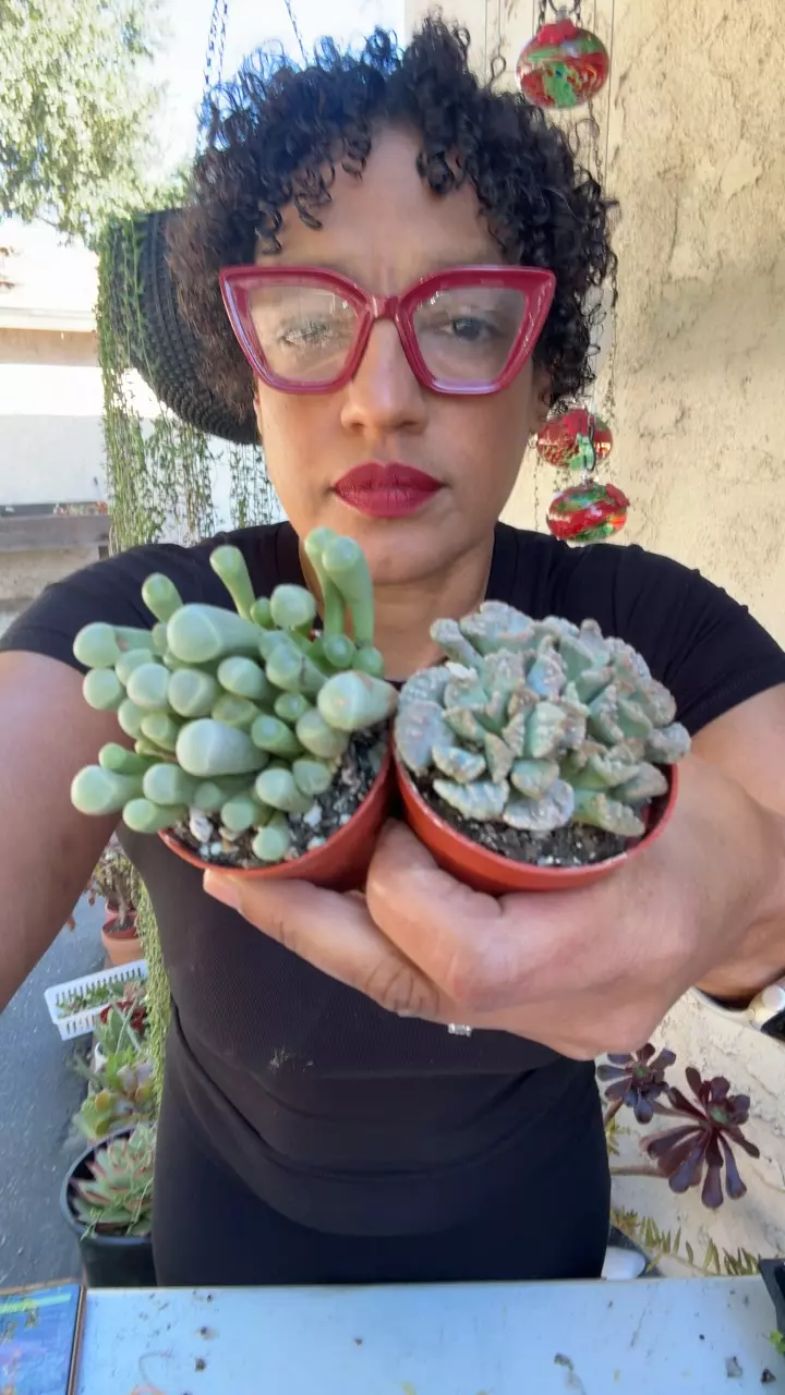 baby toes and concrete leaf combo thumbnail