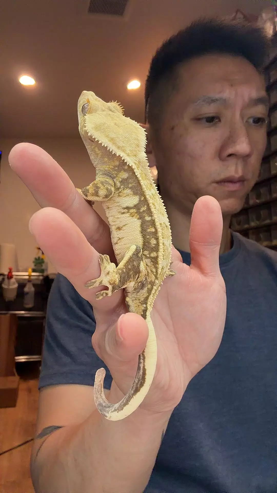 44g female cloud x Lilly group thumbnail