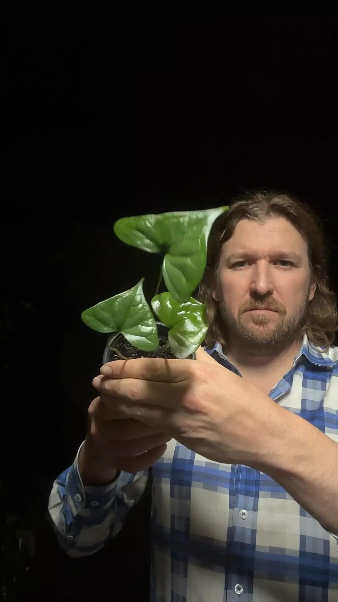 [581] Diabloense thumbnail