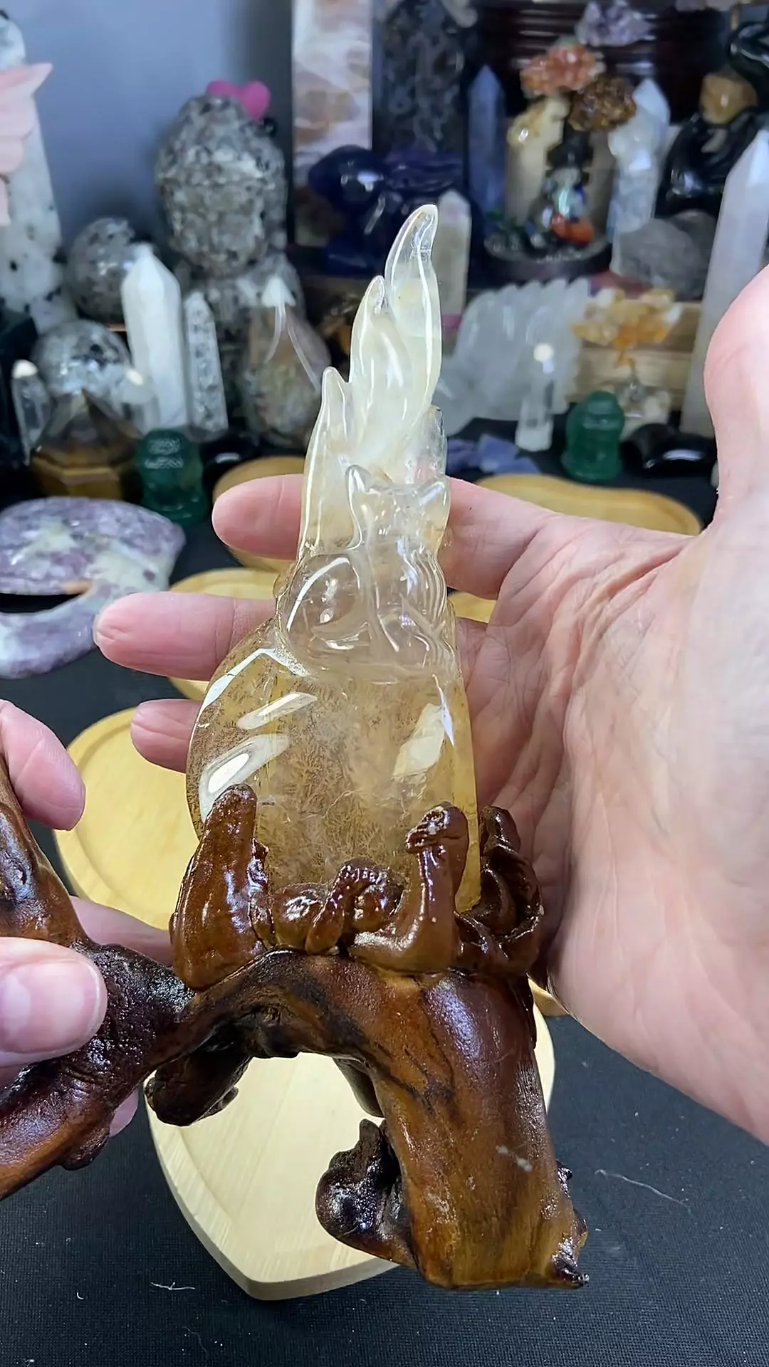 Dendritic Golden Healer 9tail Custom Stand thumbnail