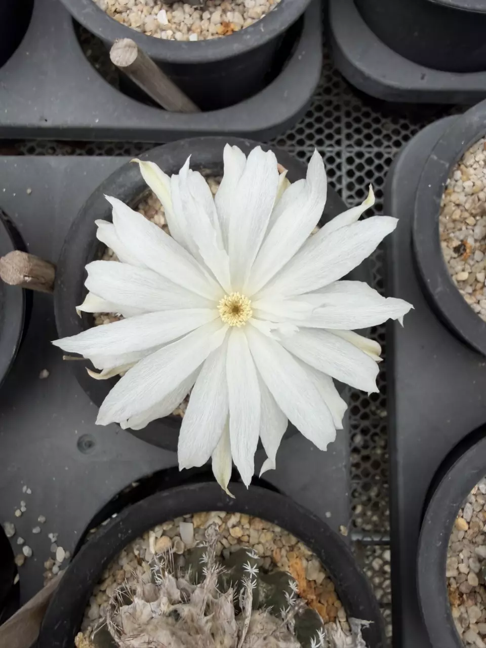 Special request for my order thumbnail