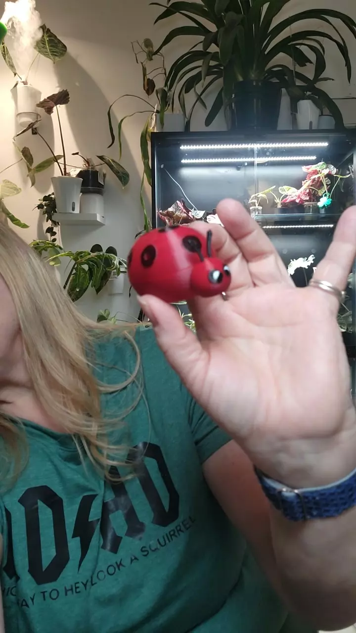 ladybug bug bed thumbnail