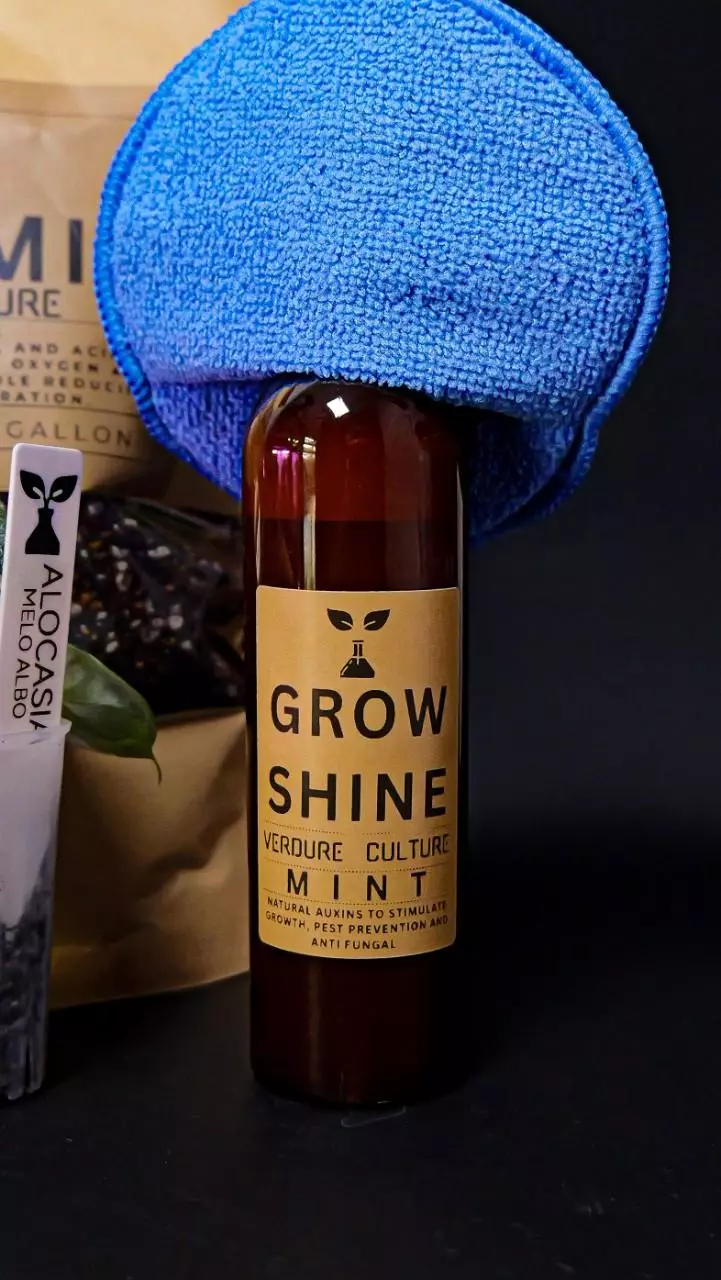 Grow shine thumbnail