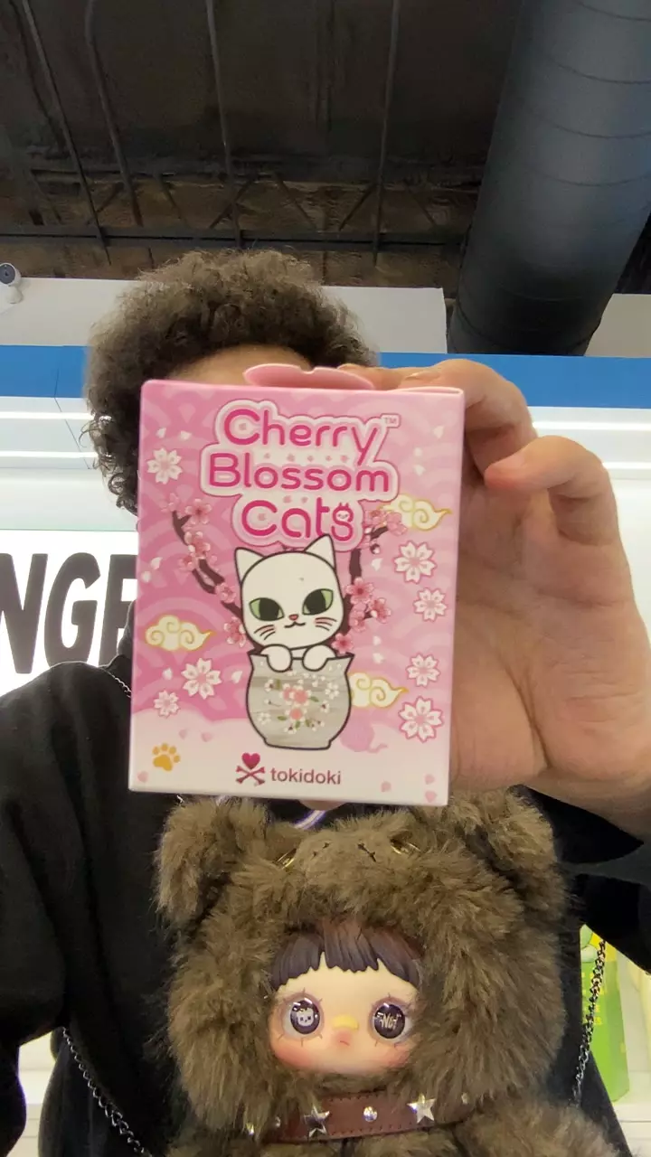 Cherry Blossom Cats thumbnail