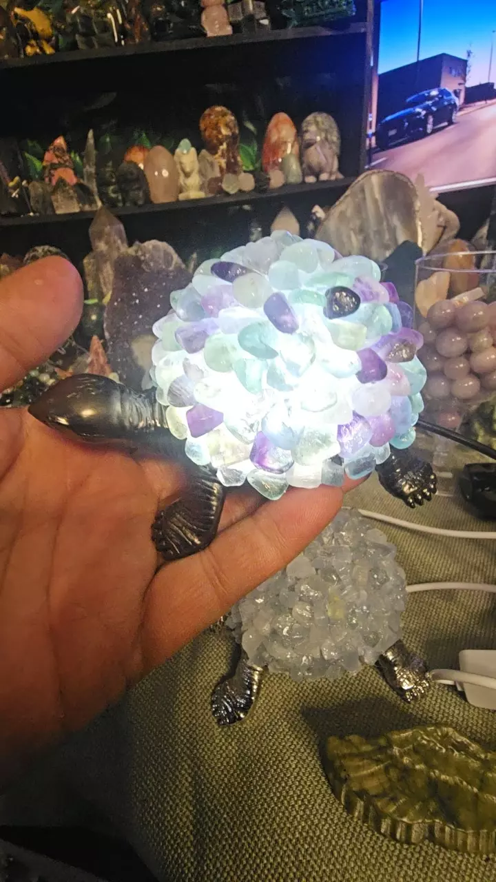 Flourite Adjustable turtle lamp thumbnail
