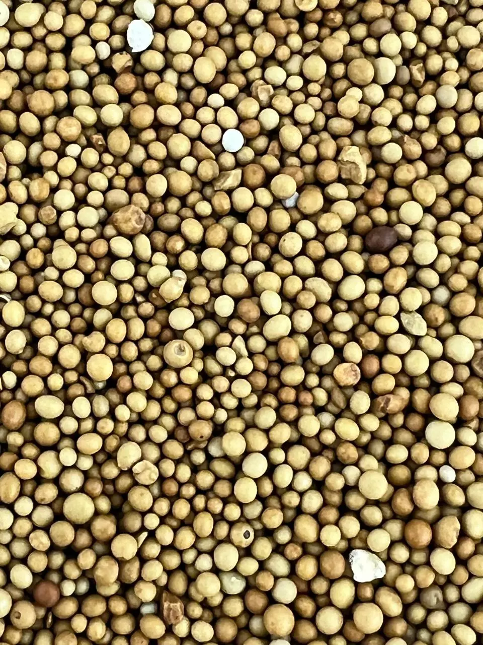 Orange Lake Nursery Fertilizer thumbnail