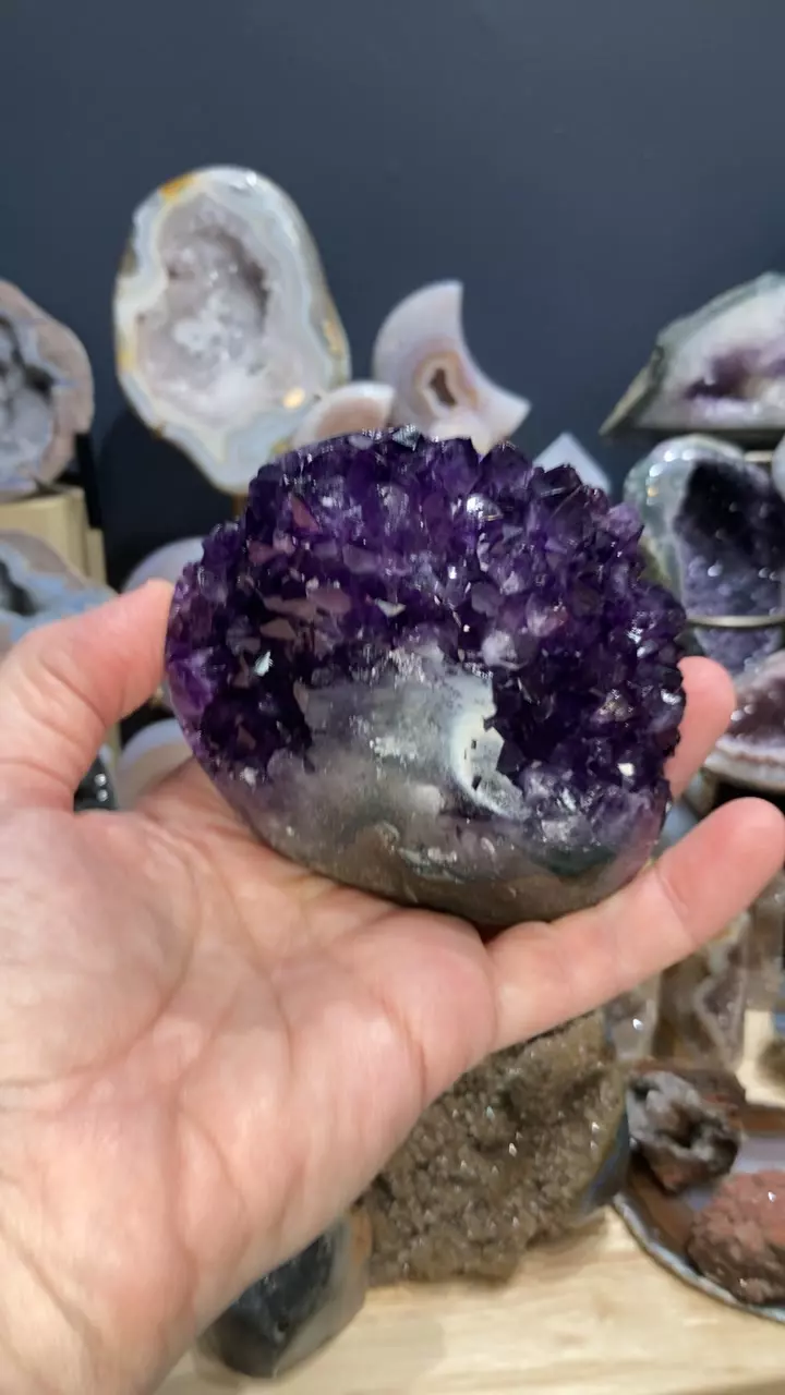 amethyst pine thumbnail