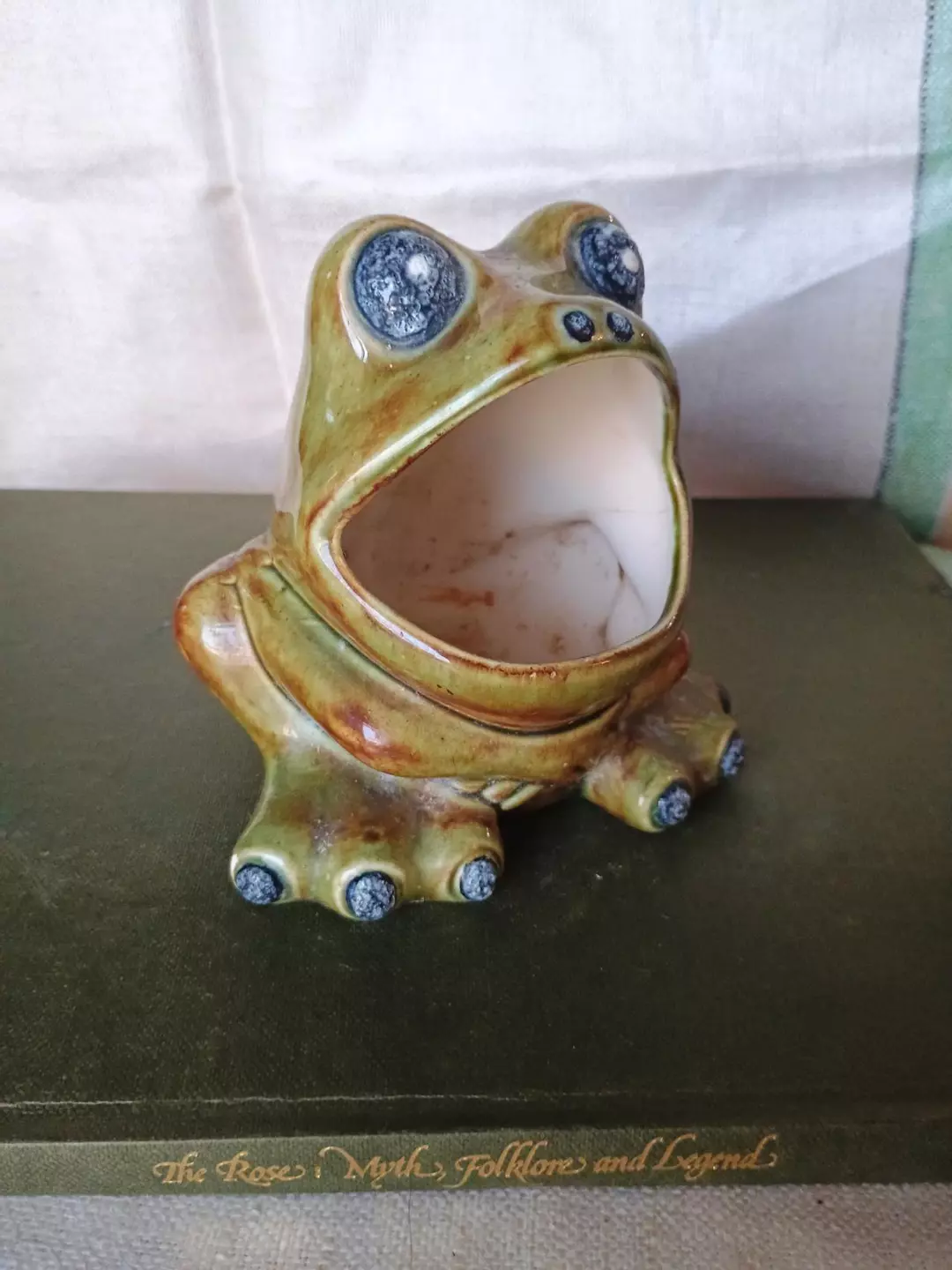 screaming frog sponge holder thumbnail