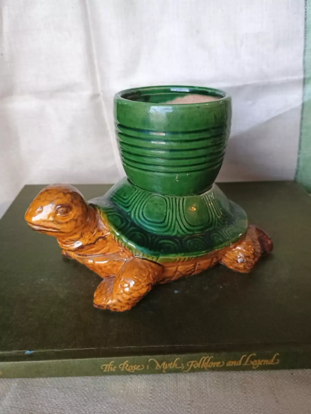 Am I not turtley enough for your turtle club? thumbnail