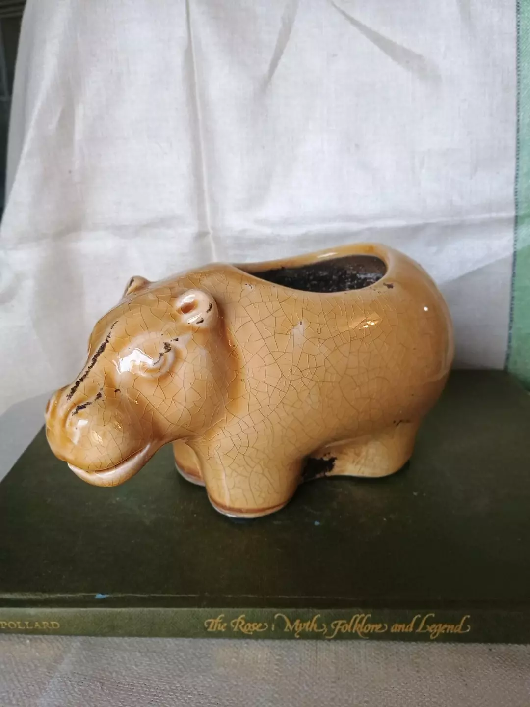 HippoPOTamus thumbnail